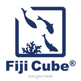 Fiji Cube