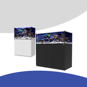 Fiji Cube - Saltwater And Reef Aquarium Hub